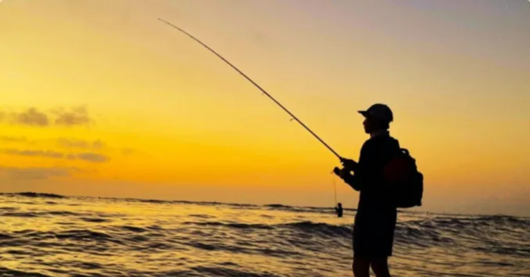 Tragedy Strikes: The Drowning of Fisher Boys in Baton Rouge off Harding Blvd